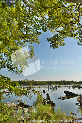 Image of Lake landscape