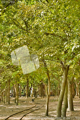 Image of Forest with railroad 