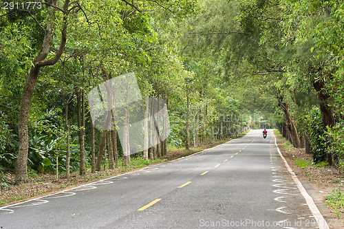 Image of road at forest