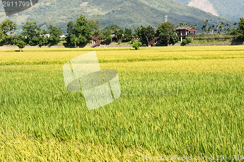 Image of Idyllic rural scenery