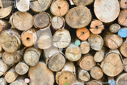 Image of Pile of wood logs