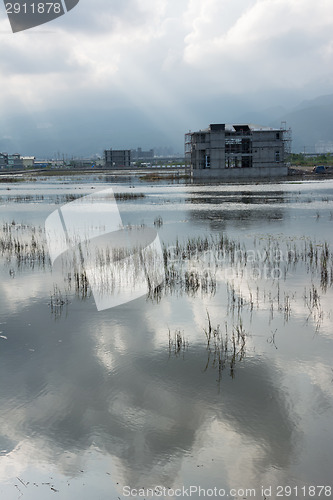 Image of Landscape with a swamp