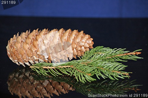 Image of merry christmas