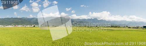 Image of Rural scenery