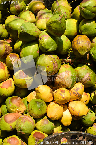 Image of Coconuts