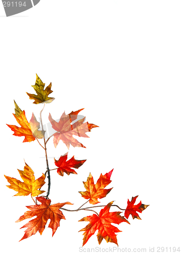 Image of Autumn frame