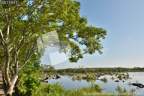 Image of Lake landscape