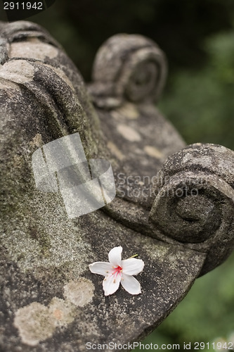 Image of Traditional asian stone lantern