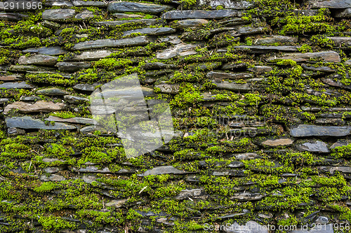 Image of Stone wall with green moss