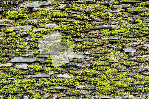 Image of Stone wall with green moss