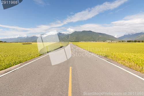 Image of Road in rural