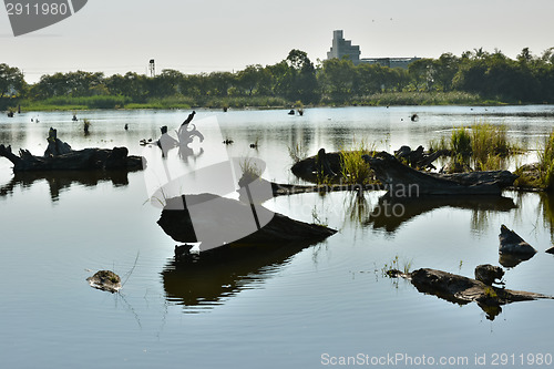 Image of Lake with wood