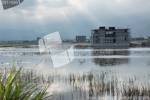 Image of Landscape with a swamp