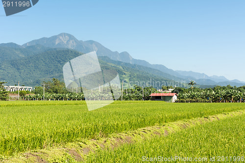 Image of Rural scenery