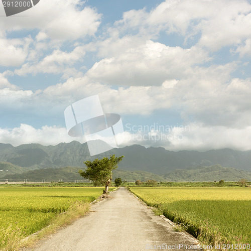 Image of road and farm