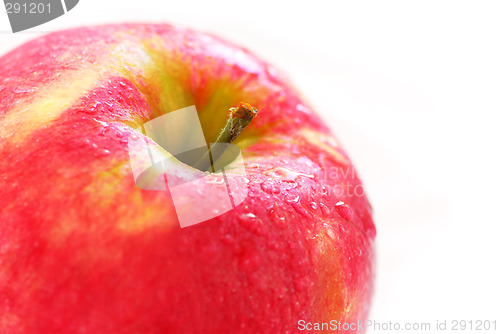 Image of Red apple