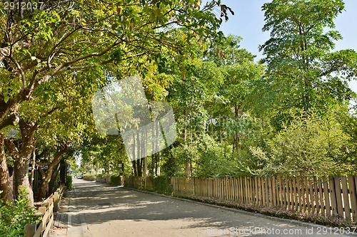 Image of Street road with tree