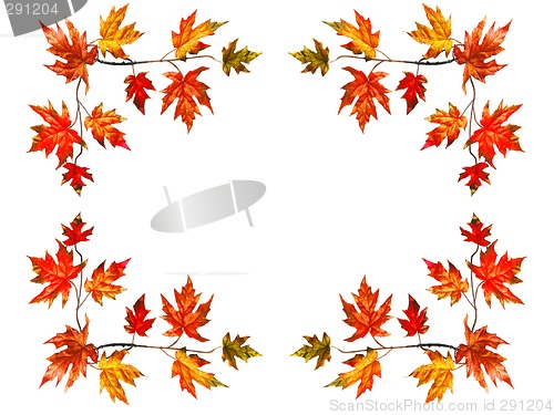 Image of Autumn frame