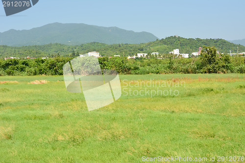 Image of Landscape with meadow