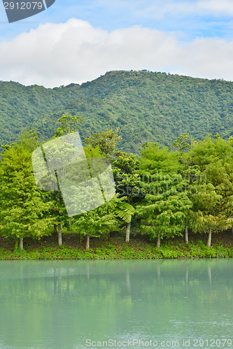 Image of Forest at Hualien