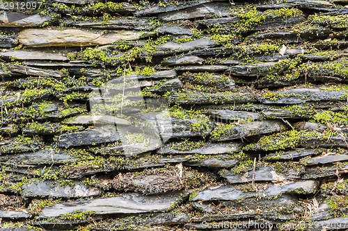 Image of Stone wall with green moss