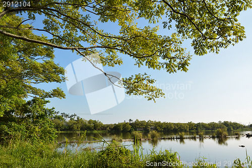 Image of Lake with wood