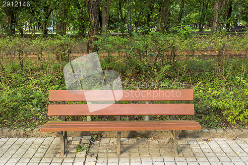 Image of Bench in the park
