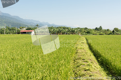 Image of Rural scenery