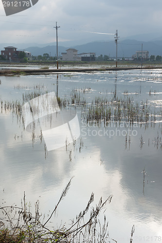 Image of Landscape with a swamp