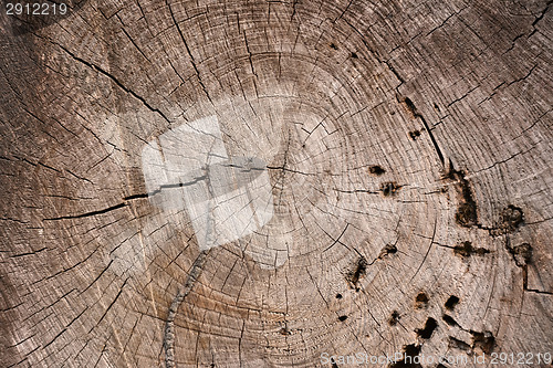 Image of Old wooden texture