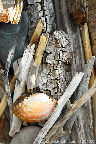 Image of Beach treasures