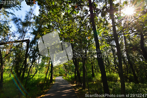 Image of Taitung Forest Park