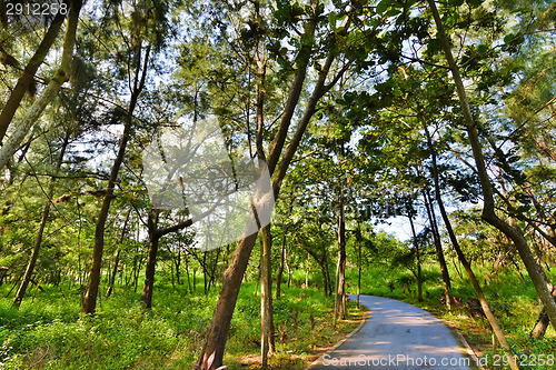 Image of Taitung Forest Park