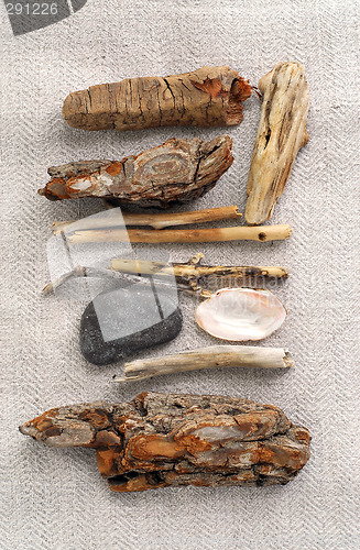 Image of Beach treasures