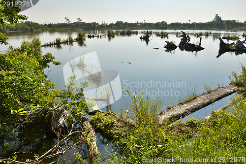 Image of Lake landscape