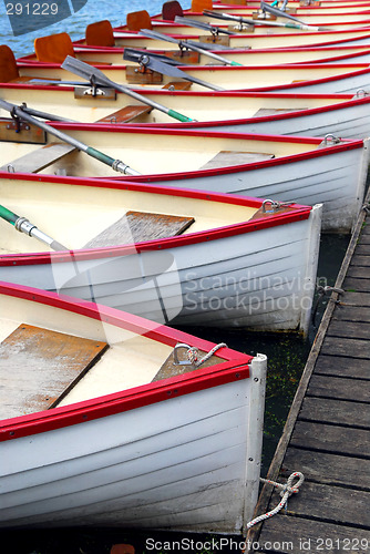 Image of Rowboats