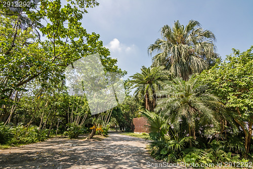 Image of Songshan Cultural and Creative Park