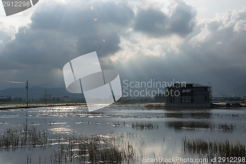 Image of Landscape with a swamp