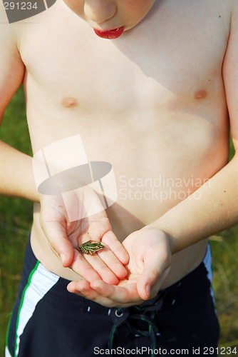 Image of Boy holding a frog