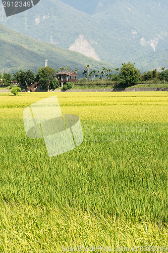 Image of Idyllic rural scenery