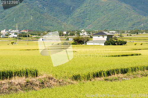 Image of Idyllic rural scenery