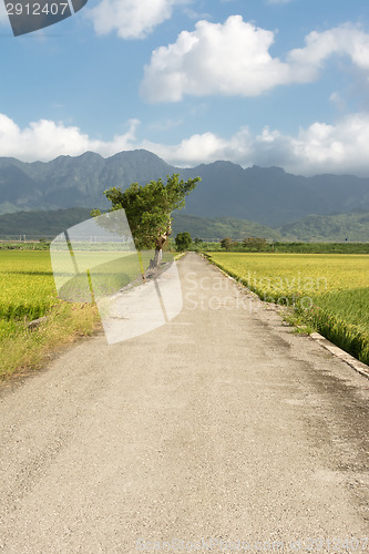 Image of road and farm