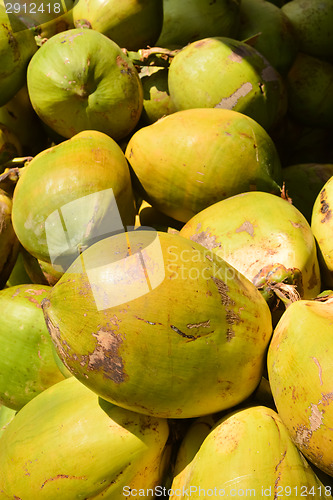 Image of Coconuts