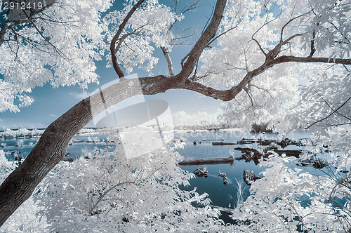 Image of IR landscape