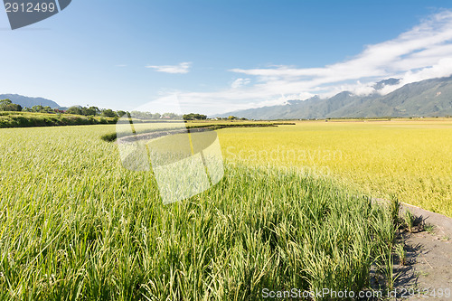 Image of Rural scenery