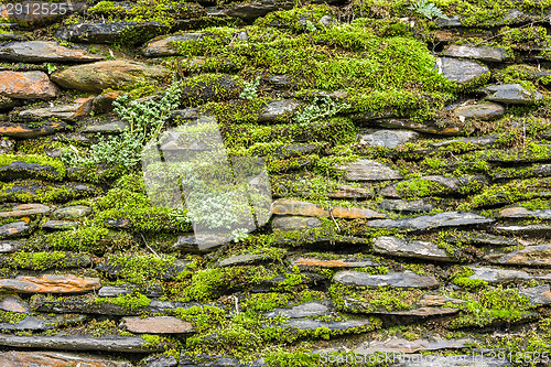 Image of Stone wall with green moss