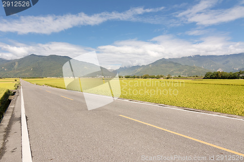 Image of Road in rural