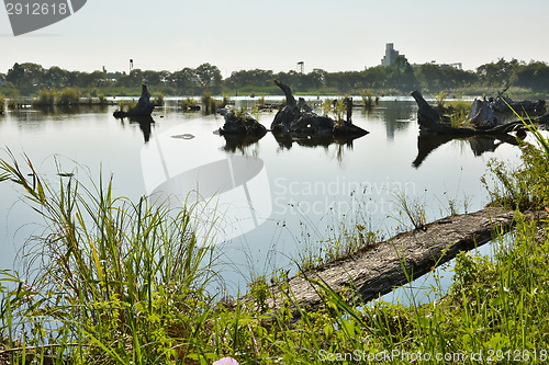 Image of Lake with wood