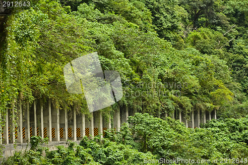 Image of Road tunnel in mountain