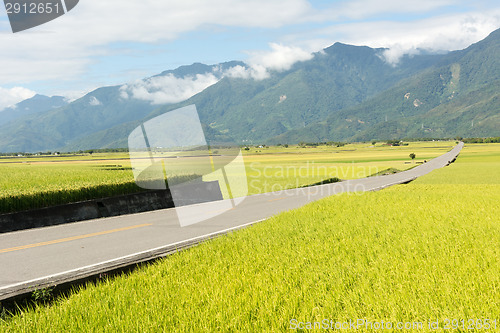 Image of Road in rural